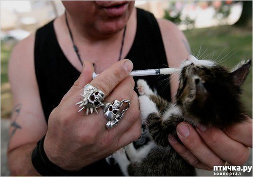 ���� 2: ����� ������������ �������� 