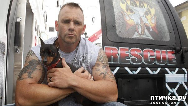 ���� 6: ����� ������������ �������� 