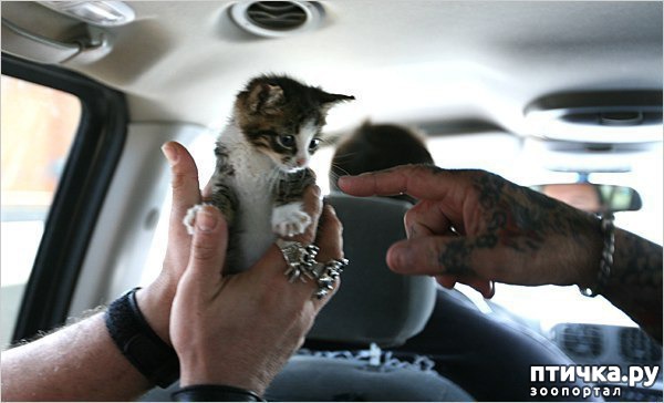 ���� 3: ����� ������������ �������� 