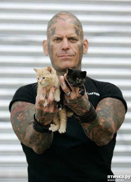 ���� 7: ����� ������������ �������� 