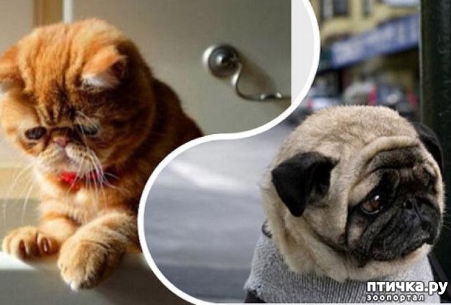 ���� 1: ��������� ��� ������ �������������...