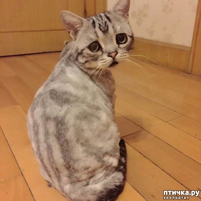 ���� 2: ��������� ��� ������ �������������...