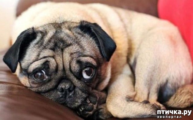 ���� 4: ��������� ��� ������ �������������...