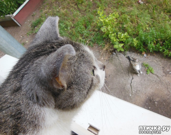 ���� 1: �����