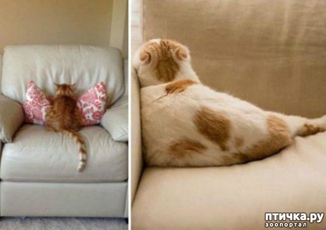 ���� 9: ��������� ��� ������ �������������...