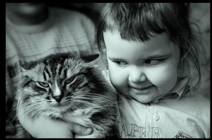 ����: �����������: ����� � �����-2.