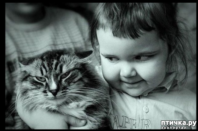 ���� 1: �����������: ����� � �����-2.