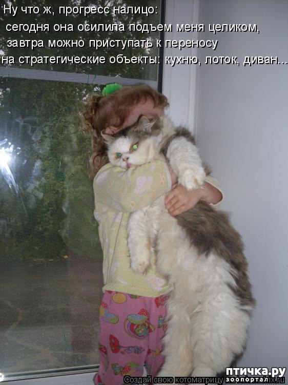 ���� 3: �����������: ����� � �����-2.