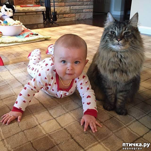 ���� 4: �����������: ����� � �����-2.