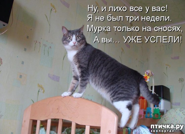 ���� 5: �����������: ����� � �����-2.