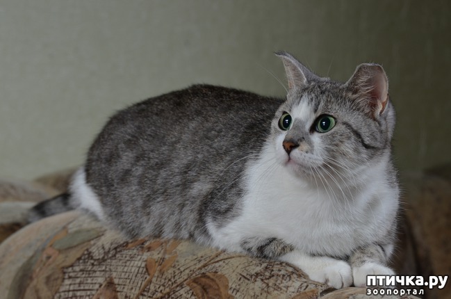 ���� 2: �����