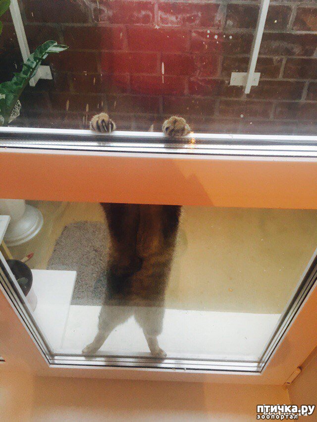 13:  
