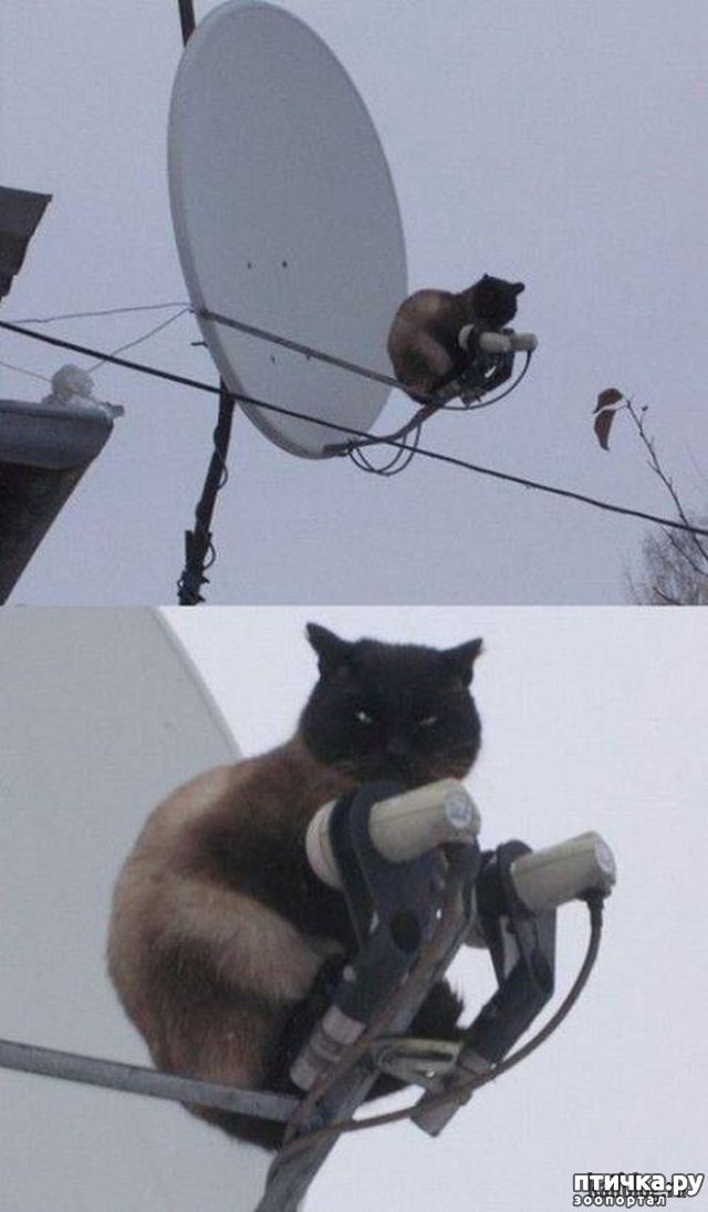  14:  