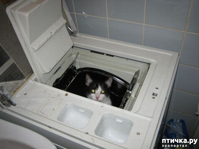  15:  