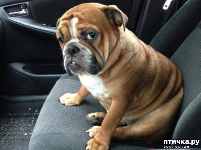 ���� 10: ��������� ��� ������ �������������...