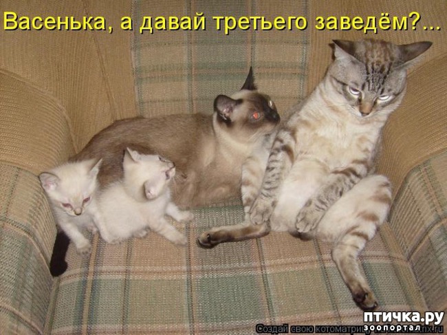 ���� 9: �����������: ����� � �����-2.