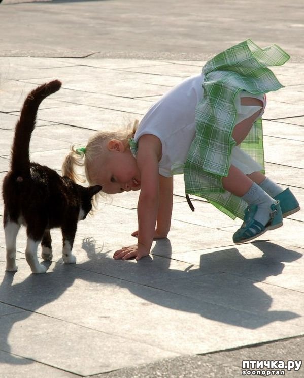 ���� 10: �����������: ����� � �����-2.