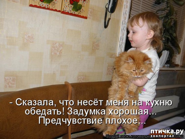 ���� 11: �����������: ����� � �����-2.