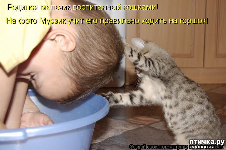 Смешные картинки с надписями про животных с надписями