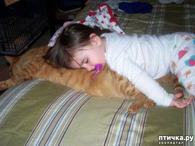 ���� 13: �����������: ����� � �����-2.