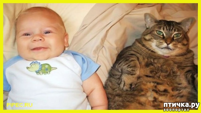 ���� 16: �����������: ����� � �����-2.