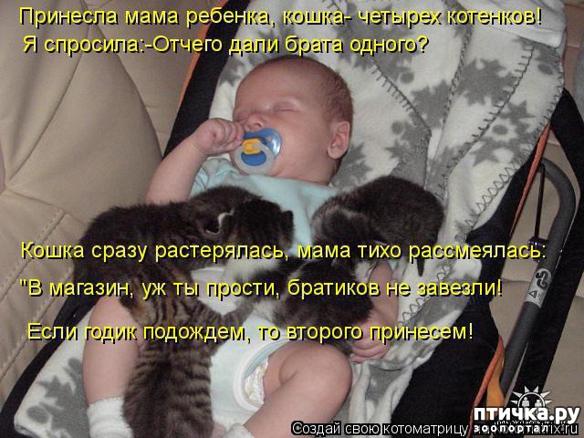 ���� 17: �����������: ����� � �����-2.