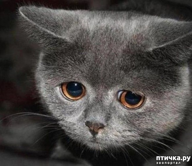 ���� 11: ��������� ��� ������ �������������...