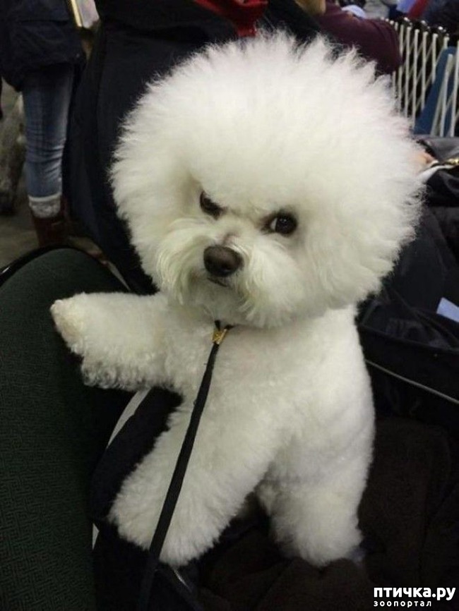 ���� 12: ��������� ��� ������ �������������...