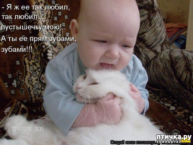 ���� 18: �����������: ����� � �����-2.