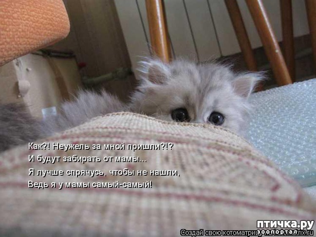 ���� 21: �����������: ����� � �����-2.