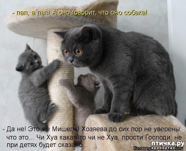 ���� 23: �����������: ����� � �����-2.