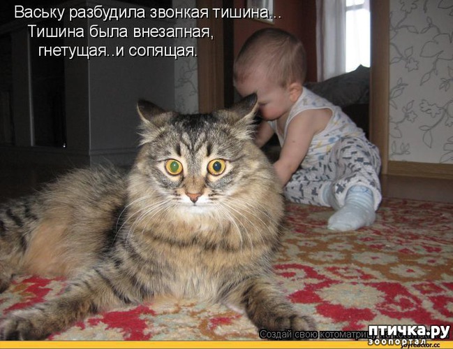 ���� 25: �����������: ����� � �����-2.