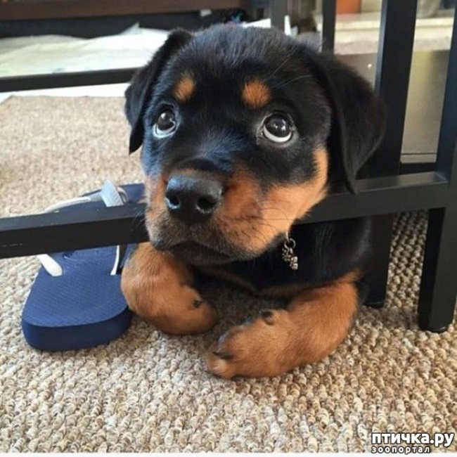 ���� 16: ��������� ��� ������ �������������...