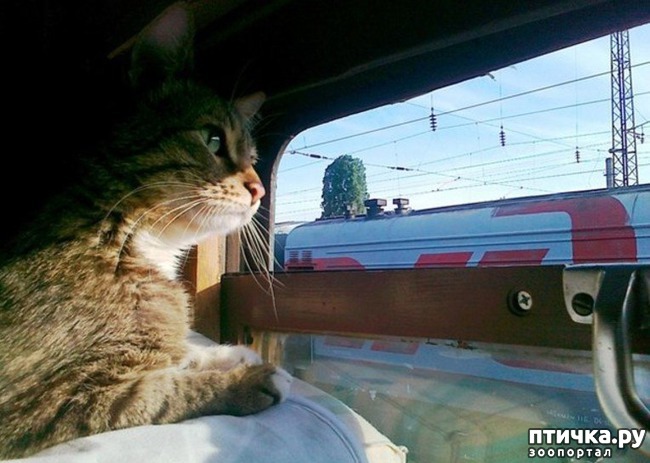 ���� 7: �����-���������������