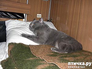 ���� 8: �����-���������������