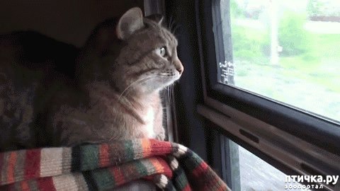 ���� 9: �����-���������������