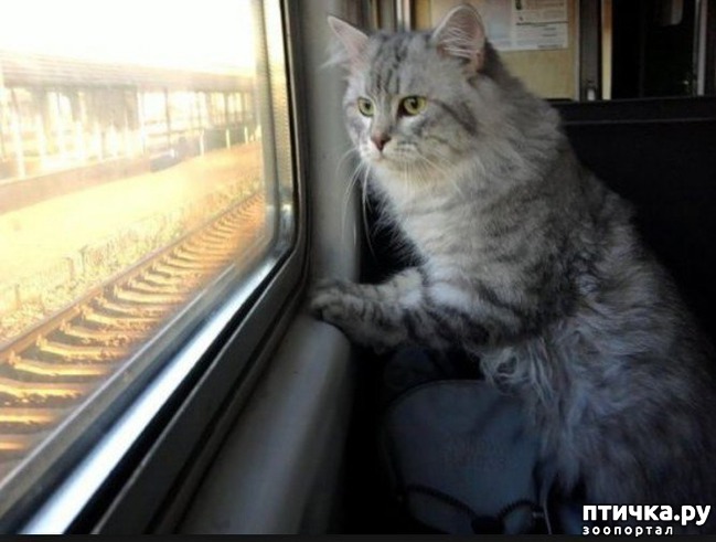 ���� 10: �����-���������������