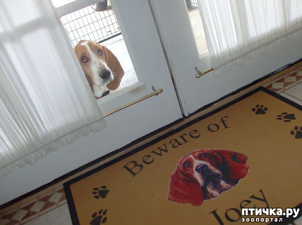 ���� 3: ���������! � ���� ����� ����� ������ ������