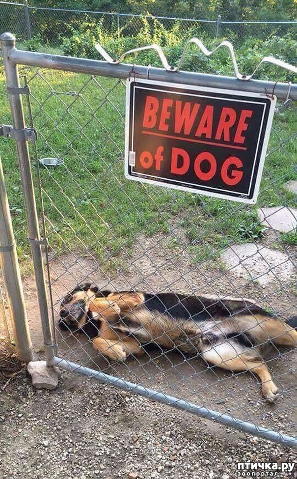 ���� 7: ���������! � ���� ����� ����� ������ ������