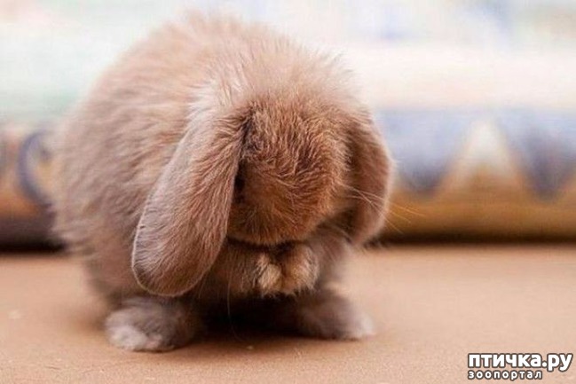 ���� 17: ��������� ��� ������ �������������...