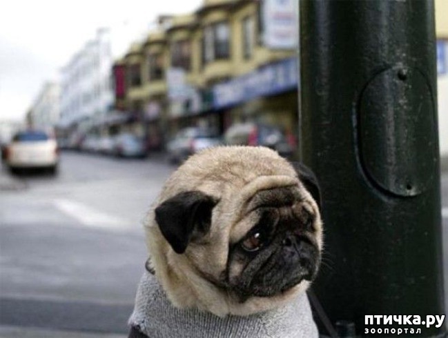 ���� 19: ��������� ��� ������ �������������...