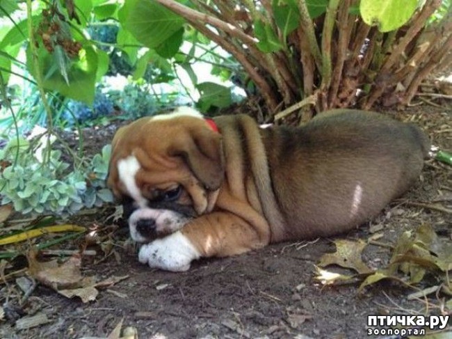 ���� 20: ��������� ��� ������ �������������...