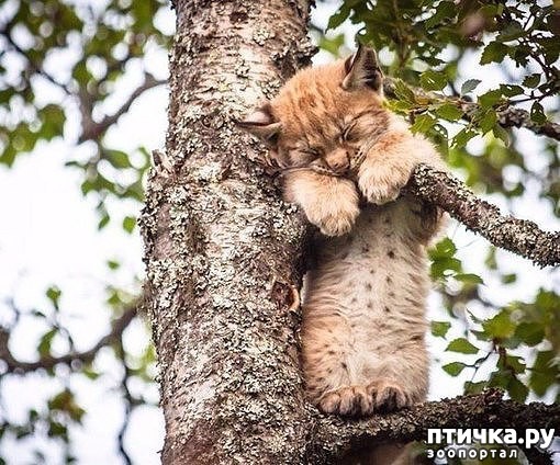 ���� 1: ��� ����� � �� �����