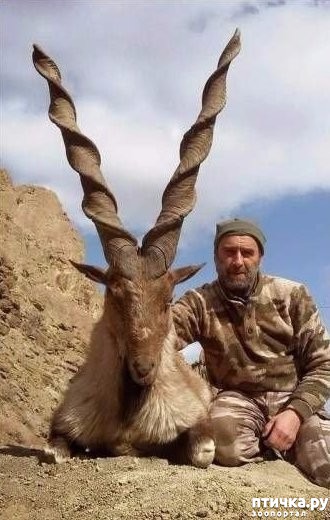 ���� 1: ��������