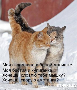 ����: ���������� ���.