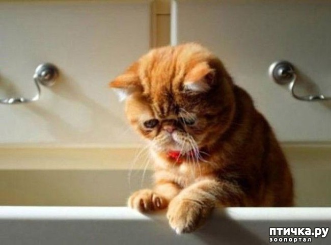 ���� 25: ��������� ��� ������ �������������...