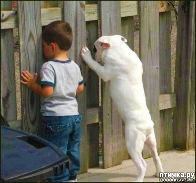 ���� 2: ������ ������ - ������ �����