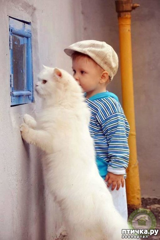 ���� 3: ������ ������ - ������ �����