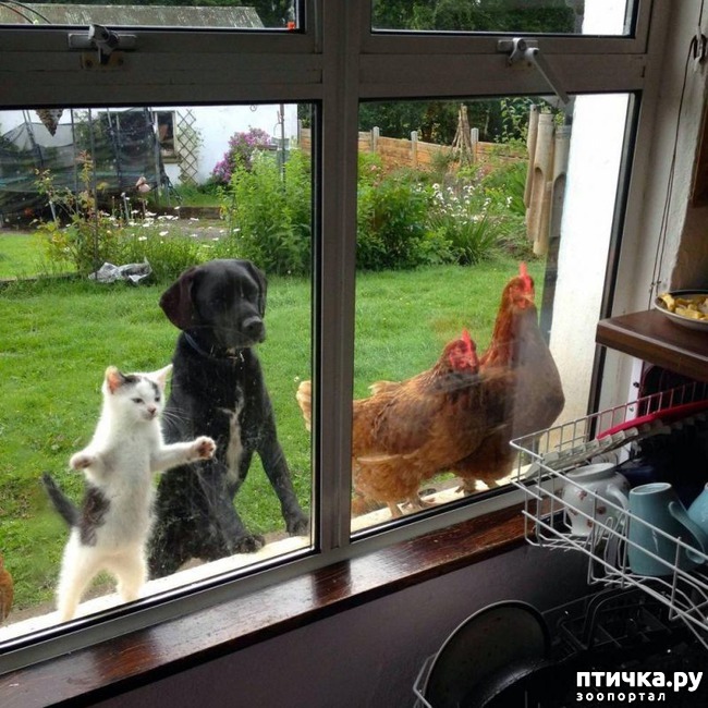 ���� 4: ������ ������ - ������ �����