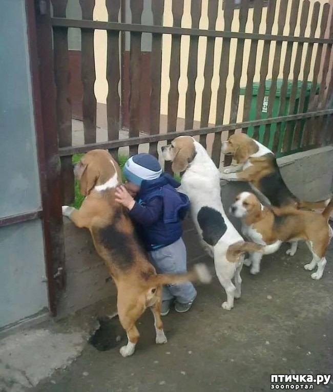 ���� 5: ������ ������ - ������ �����